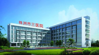 株洲市三醫(yī)院 微創(chuàng)技術(shù)開啟新篇章，賦能新材料技術(shù)開發(fā)服務(wù)